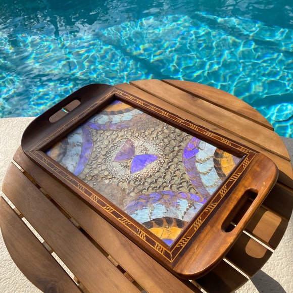Other - Vintage taxidermy butterfly Tray